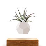 LYFE Planter Zwevende Plant Hout Design Hoesie