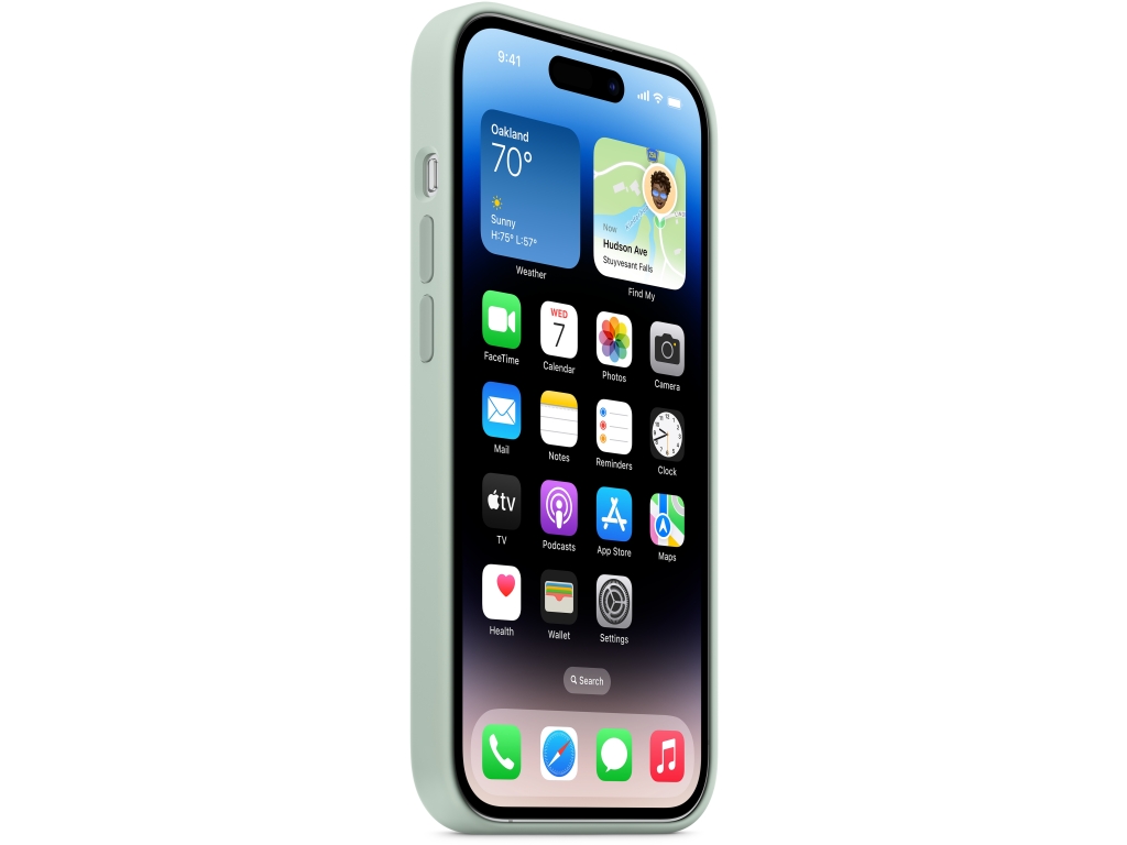 MPTY3ZM/A Apple Silicone Case with MagSafe iPhone 14 Pro Max Succulent